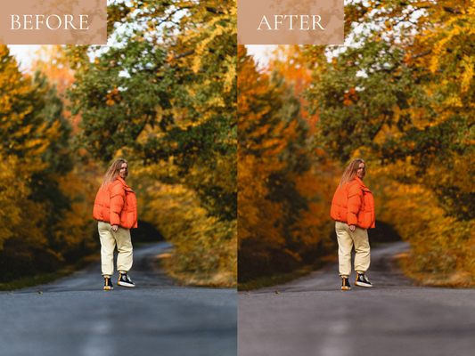 Fall favourite all-In-One Presets