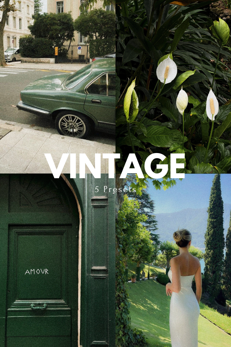 Dreamy Vintage Presets
